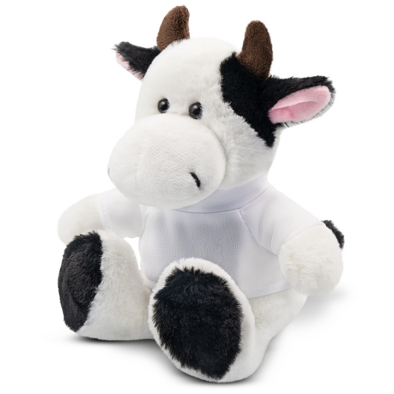 Teddy cow with a white T-shirt for printing